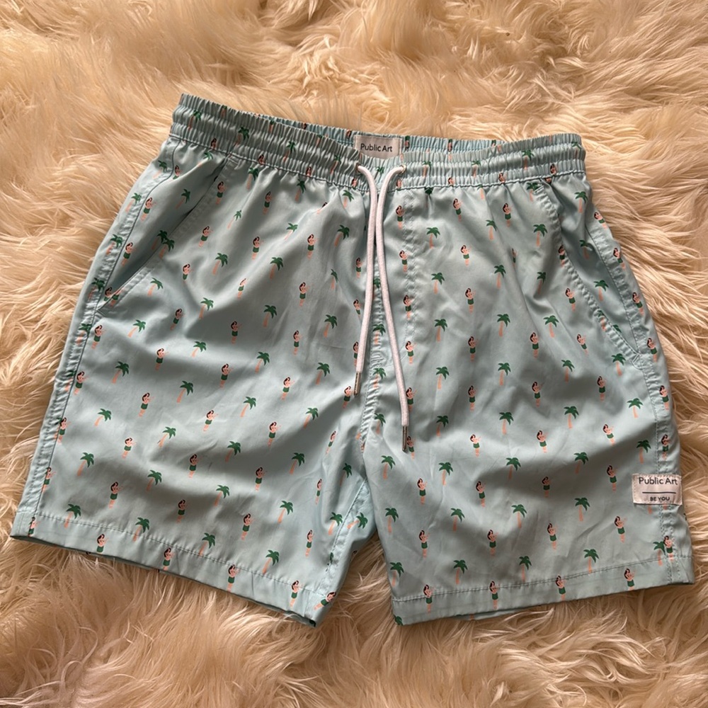 Public Art swimming shorts